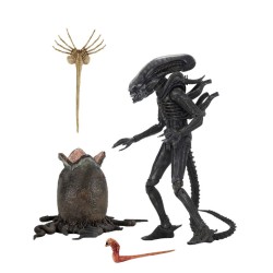 Alien ultimate 40th Anniversary Big Chap Acti..