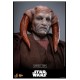 Star Wars: Episode III - Revenge of the Sith Movie Masterpiece Action Figure 1/6 Saesee Tiin 31 cm
