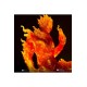 Fantastic Four Art Scale Statue 1/10 Human Torch 30 cm