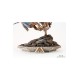 Assassin's Creed Statue 1/6 Spartan Kick Alexios Diorama 37 cm