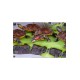Teenage Mutant Ninja Turtles Diorama Statue 1/1 Origins 13 cm