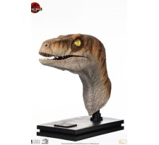 Jurassic Park Life-Size Bust Male Velociraptor 75 cm