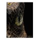Jurassic Park 1/1 Replica Bust Velociraptor Eye 23 cm