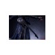 The Crow Epic Series Statue 1/3 Crow 66 cm