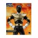 Power Rangers Zeo: Gold Zeo Power Ranger 1:6 Scale