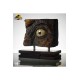 Jurassic Park Replica Screen-Used SWS T-Rex Eye 32 cm