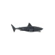 Jaws Prop Replica 1/1 Mechanical Bruce Shark 13 cm