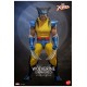 Marvel X-Men Action Figure 1/6 Wolverine (Unmasked) 28 cm