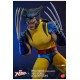Marvel X-Men Action Figure 1/6 Wolverine (Unmasked) 28 cm