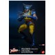 Marvel X-Men Action Figure 1/6 Wolverine (Unmasked) 28 cm
