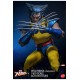 Marvel X-Men Action Figure 1/6 Wolverine (Unmasked) 28 cm