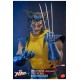 Marvel X-Men Action Figure 1/6 Wolverine (Unmasked) 28 cm