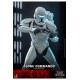 Star Wars: The Bad Batch Action Figure 1/6 Clone Commando 30 cm