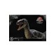 Jurassic Park III Legacy Museum Collection Statue 1/6 Velociraptor Male 40 cm