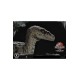 Jurassic Park III Legacy Museum Collection Statue 1/6 Velociraptor Female 44 cm