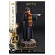 Harry Potter Prime Collectibles Statue 1/6 Harry Potter 28 cm