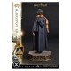 Harry Potter Prime Collectibles Statue 1/6 Harry Potter 28 cm