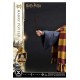 Harry Potter Prime Collectibles Statue 1/6 Harry Potter 28 cm