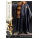 Harry Potter Prime Collectibles Statue 1/6 Harry Potter 28 cm