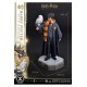 Harry Potter Prime Collectibles Statue 1/6 Harry Potter with Hedwig 28 cm