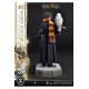 Harry Potter Prime Collectibles Statue 1/6 Harry Potter with Hedwig 28 cm