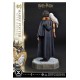 Harry Potter Prime Collectibles Statue 1/6 Harry Potter with Hedwig 28 cm