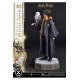 Harry Potter Prime Collectibles Statue 1/6 Harry Potter with Hedwig 28 cm