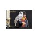 Harry Potter Prime Collectibles Statue 1/6 Harry Potter with Hedwig 28 cm