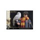 Harry Potter Prime Collectibles Statue 1/6 Harry Potter with Hedwig 28 cm