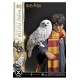 Harry Potter Prime Collectibles Statue 1/6 Harry Potter with Hedwig 28 cm