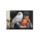 Harry Potter Prime Collectibles Statue 1/6 Harry Potter with Hedwig 28 cm