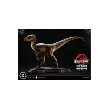 Jurassic Park Prime Collectibles Statue 1/10 Velociraptor Closed Mouth 19 cm