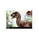 Jurassic Park Prime Collectibles Statue 1/10 Velociraptor Open Mouth 19 cm