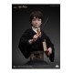 Harry Potter Bust 1/1 Harry 76 cm