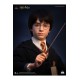 Harry Potter Bust 1/1 Harry 76 cm