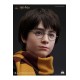 Harry Potter Bust 1/1 Harry 76 cm