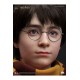 Harry Potter Bust 1/1 Harry 76 cm