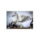 Ray Harryhausen Statue Pegasus: The Flying Horse 2.0 45 cm