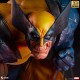 Marvel: Wolverine Berserker Rage Statue