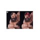 Street Fighter Premier Series Statue 1/4 Zangief (Deluxe Edition) 61 cm