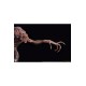 Pumpkinhead Epic Series Statue 1/3 Pumpkinhead 76 cm