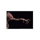 Pumpkinhead Epic Series Statue 1/3 Pumpkinhead 76 cm