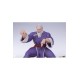 Street Fighter Street Jam Statuen 1/10 Zangief and Gen Set