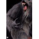 The Howling Epic Series Statue 1/3 The Howling 97 cm
