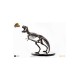 Jurassic Park ECC Elite Creature Line Statue 1/8 Rotunda T-Rex Skeleton Bronze 58 cm