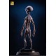 ECC s Elite Creature Line Statue Reptilian Grey Maquette by Steve Wang 61 cm