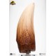 Jurassic Park: Screen Used T-Rex Tooth Reproduction Prop Replicas