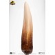 Jurassic Park: Screen Used T-Rex Tooth Reproduction Prop Replicas