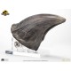 Jurassic Park: Screen Used T-Rex Foot Claw Reproduction Prop Replica