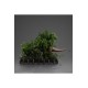 Jurassic Park Demi Art Scale Statue 1/20 T-Rex Chase 30 cm